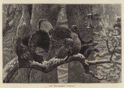 Vítězné krůty od Arthur Boyd Houghton