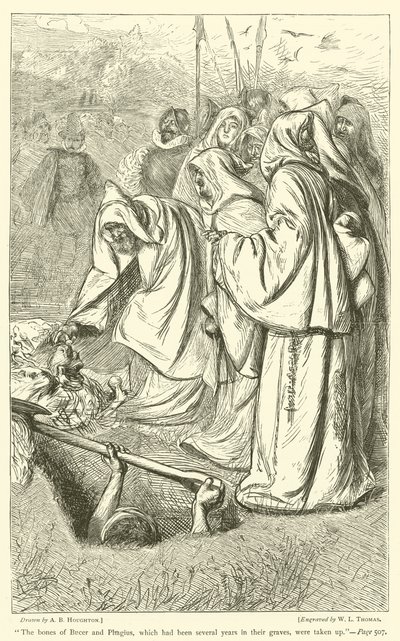 Kosti Bucera a Phagia, které ležely několik let v hrobech, byly vyzdviženy z hrobu. od Arthur Boyd Houghton