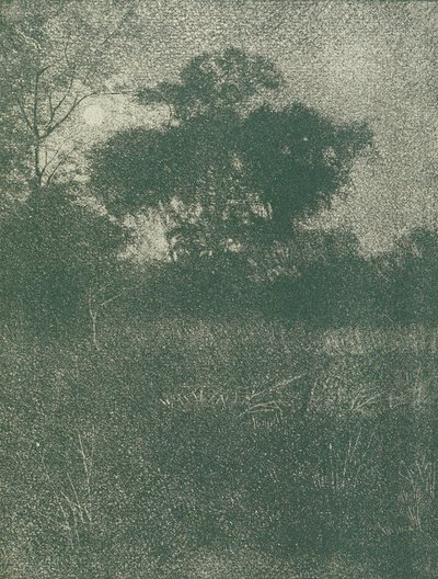 Moonlight od Arthur E. Becher