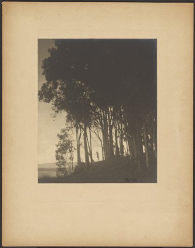 Tančící nymfa od Arthur F. Kales