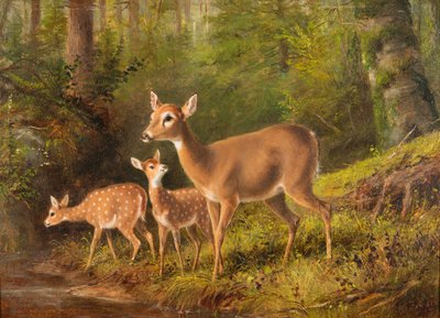 Laň a dva srnčata od Arthur Fitzwilliam Tait