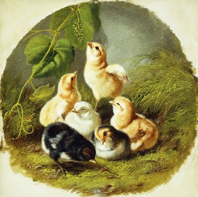 Kuřátka, 1863 od Arthur Fitzwilliam Tait