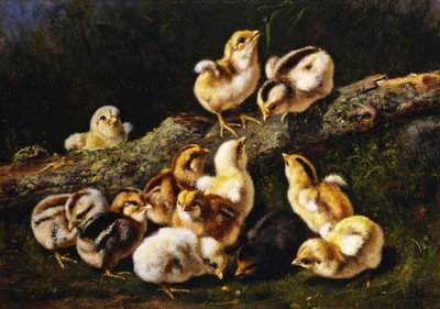 Malí mazlíčci, 1899 od Arthur Fitzwilliam Tait
