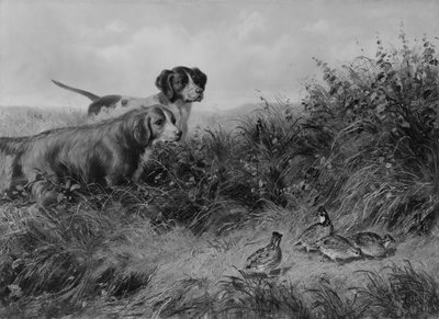 On Point, 1874. od Arthur Fitzwilliam Tait