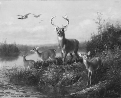 Na Qui Vive, Buck and Three Does, 1871. od Arthur Fitzwilliam Tait