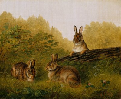 Králíci na kládě, 1897. od Arthur Fitzwilliam Tait