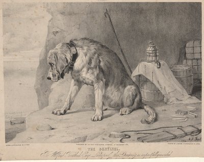 Sentinel od Arthur Fitzwilliam Tait