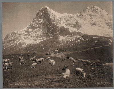 Krávy na Kleine Scheidegg v Berner Oberland, v pozadí Eiger a Mönch Kleine Scheidegg, Eiger und Moench (název na objektu) od Arthur Gabler