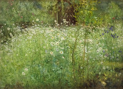 Oxeye Daisies and Irises, 1920 od Arthur Hacker