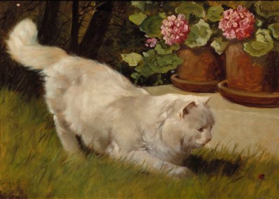 Bílá perská kočka s beruškou (olej na palubě) od Arthur Heyer