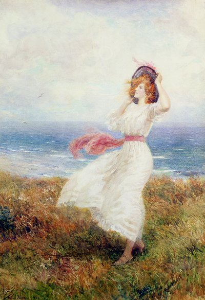 Úder na útesech od Arthur Hopkins