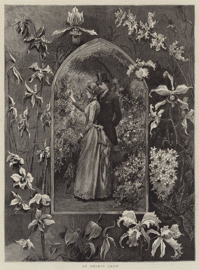 Výstava orchidejí od Arthur Hopkins