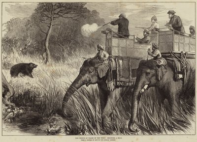 Princ z Walesu v Terai, střílející medvěda od Arthur Hopkins