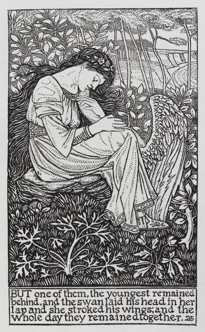 Hans Christian Andersen: Divoké labutě (litho) od Arthur Joseph Gaskin