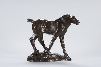 Colt (bronz) od Arthur Putnam