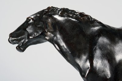 Colt (bronz) od Arthur Putnam