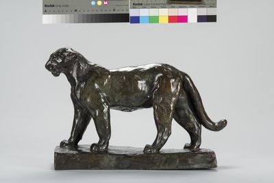 Chůze leoparda od Arthur Putnam