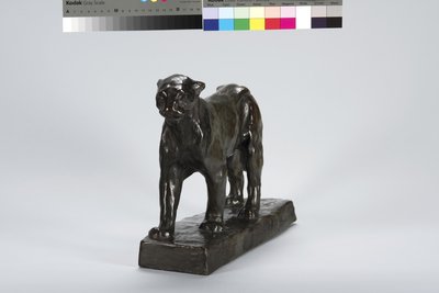Chůze leoparda od Arthur Putnam