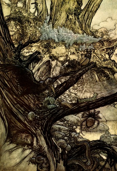 Sen noci svatojánské od Arthur Rackham