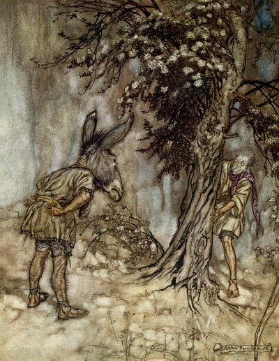 Sen noci svatojánské od Arthur Rackham