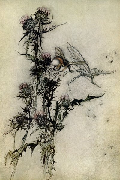 Sen noci svatojánské od Arthur Rackham