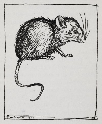 Myš od Arthur Rackham