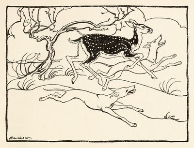 Becfola ve svém voze z knihy The Wooing of Becfola in Irish Fairy TalesViz popis od Arthur Rackham