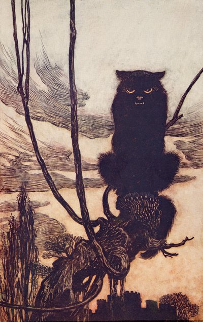 Přes den ze sebe udělala kočku?, z hospody Pohádky bratří Grimmů. 1909 od Arthur Rackham