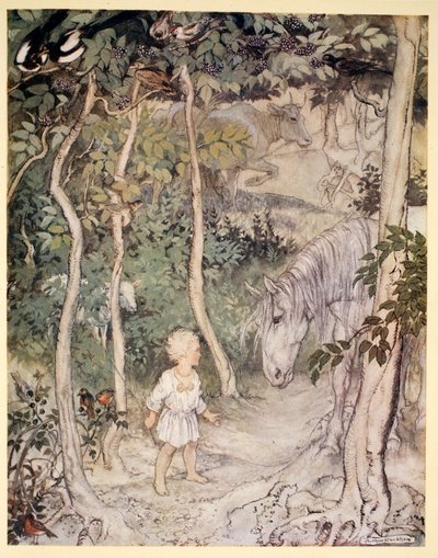 Mohl by si myslet, když zíral na upřeného koně, „chlapec nemůže vrtět ocasem, aby zadržel mouchy“, ilustrace z „Irských pohádek“ od Jamese Stephense, 1920 od Arthur Rackham