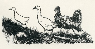 Henny-Penny od Arthur Rackham