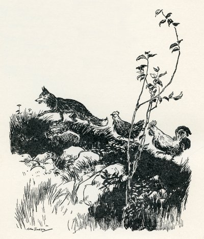 Henny-Penny od Arthur Rackham