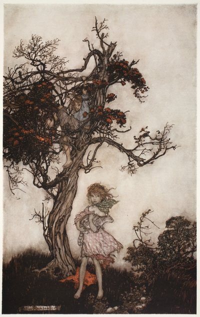 Jeho děti byly tak otrhané a divoké, jako by nikomu nepatřily., od Rip Van Winkle od Washingtona Irvinga, hospoda. 1910 od Arthur Rackham