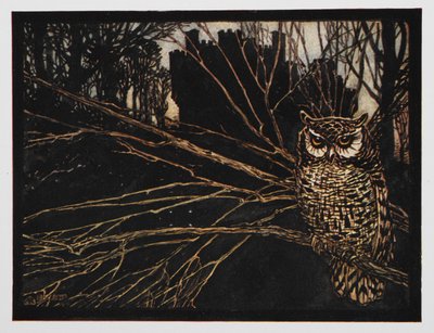 Ilustrace sovy pištění od Jorindy a Joringela. od Arthur Rackham