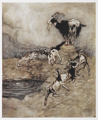 Ilustrace kozy a jejích malých dětí hrajících si z filmu Vlk a sedm dětí. od Arthur Rackham