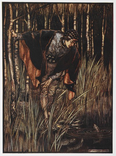 Ilustrace mládí u rybníka z Bílého hada. od Arthur Rackham