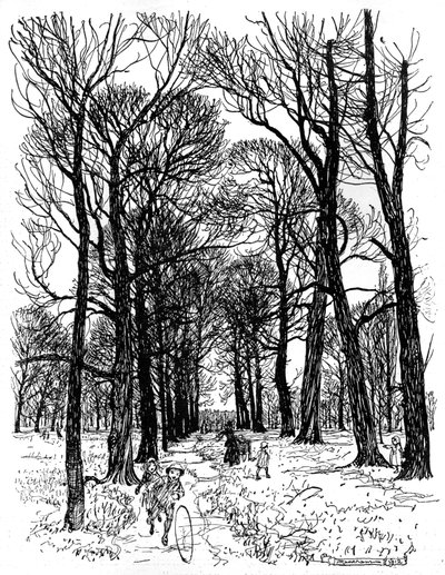 Peter Pan v Kensingtonských zahradách od Arthur Rackham