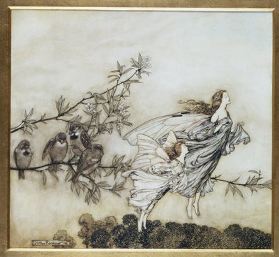 Víly mají svůj Tiff with the Birds, ilustrace z roku 1906 pro Petera Pana v Kensington Gardens od J. M. Barrieho, hospoda. 1906 (inkoust a wc) od Arthur Rackham