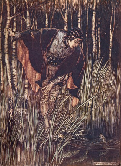 Ryby v radosti vystrčily hlavy nad vodu a slíbily mu odměnu, z Pohádek bratří Grimmů, nakl. 1909 od Arthur Rackham
