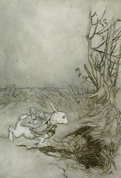 Bílý králík, ilustrace z 