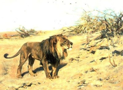 Lev mezi křovinami od Arthur Wardle