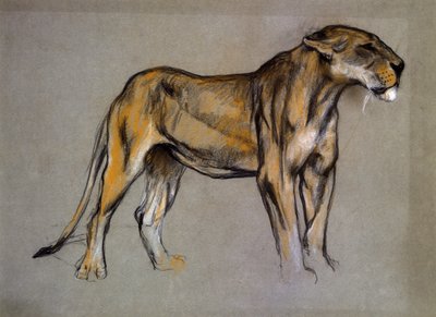 Lvice, cca 1900 (pastel na šedém papíře) od Arthur Wardle