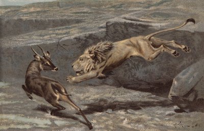 Noční útok (chromolit) od Arthur Wardle