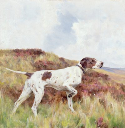 Ukazatel (olej na palubě) od Arthur Wardle