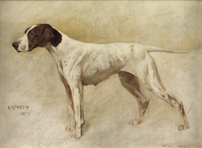 Korunovace od Arthur Wardle