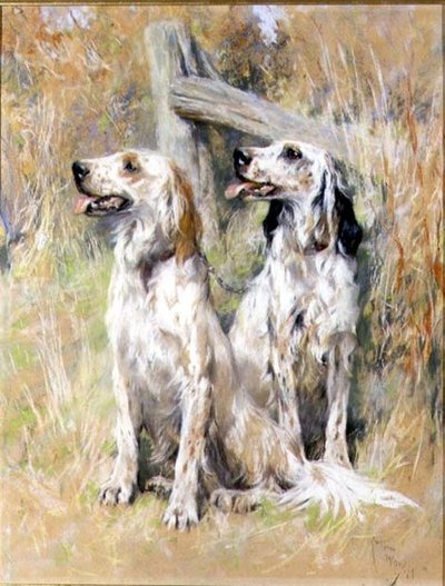 Angličtí seři od Stile od Arthur Wardle