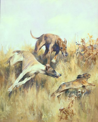 Greyhounds Giving Chase (kvaš na papíře) od Arthur Wardle