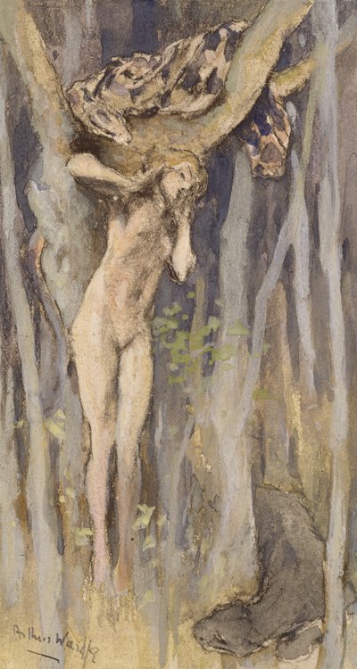 Hamadryad - Spirit of a Tree, cca 1890 (pastel, tužka a akvarel na papíře) od Arthur Wardle