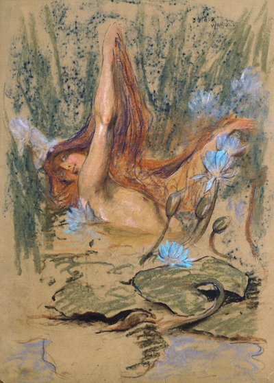 Nymphea, cca 1890 (pastel, tužka a akvarel na papíře) od Arthur Wardle