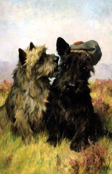 Ven do trávy od Arthur Wardle