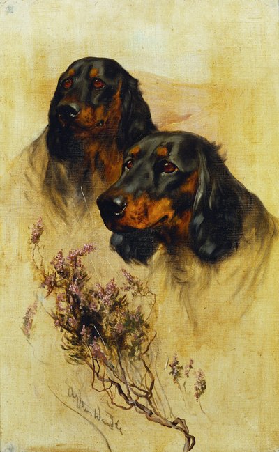 Dva Gordonsetři (olej na plátně) od Arthur Wardle